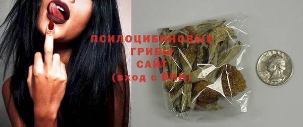 меф Няндома