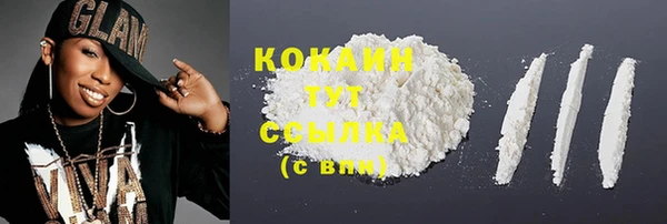 меф Няндома