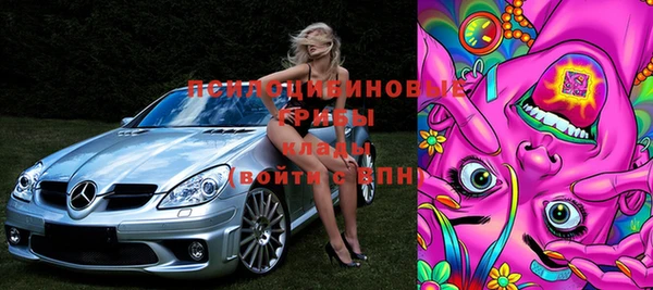 меф Няндома