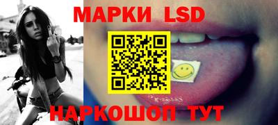 МДПВ Камышлов